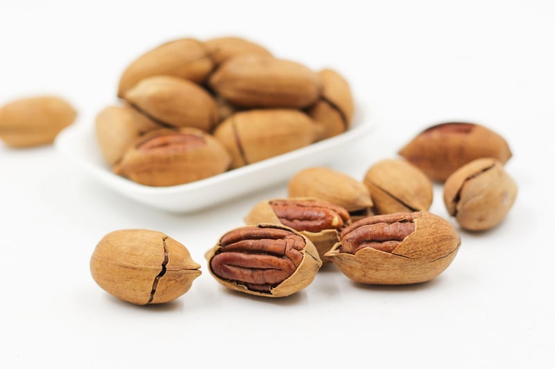 Protein Sources